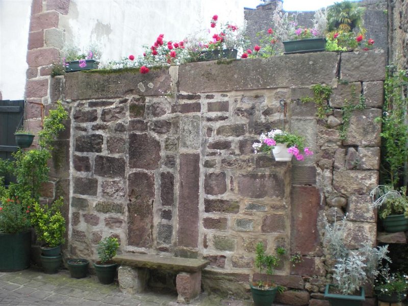 Original image